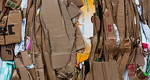 Cardboard Scrap 